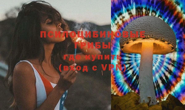экстази Алексин